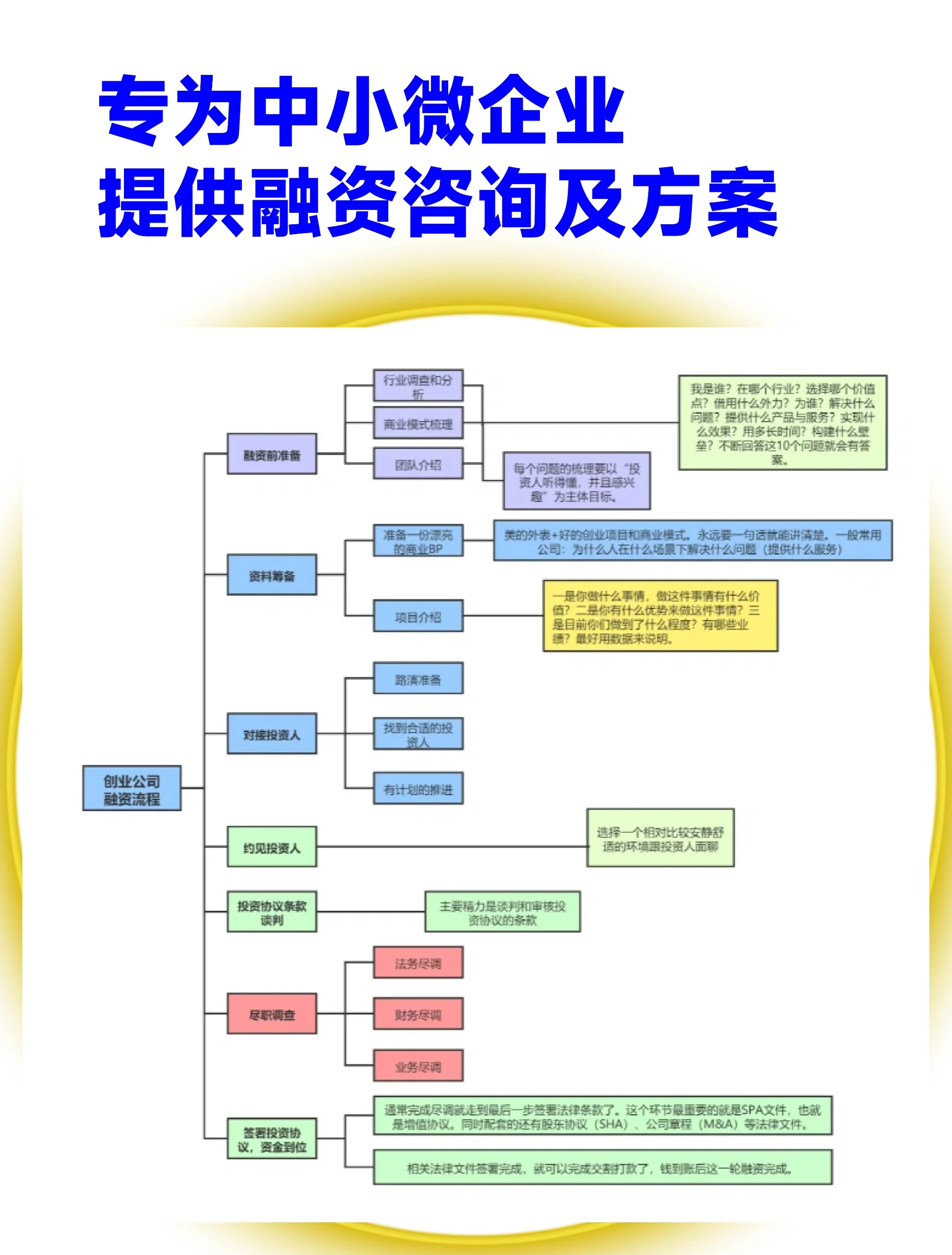 大连市宠物企业资金管理(宠物管理机构叫什么)