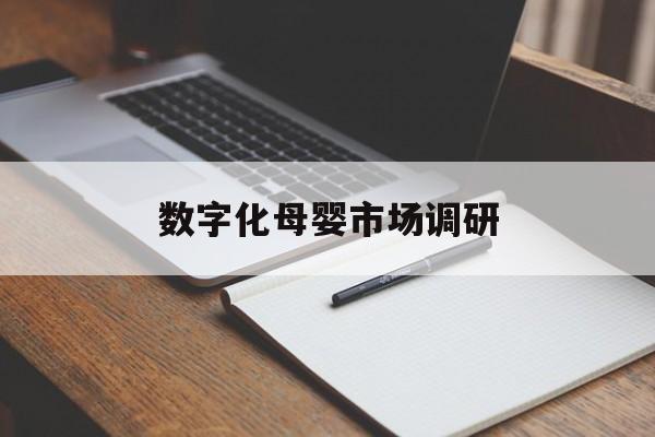 大连市数字化母婴市场调研(数字化母婴市场调研报告)