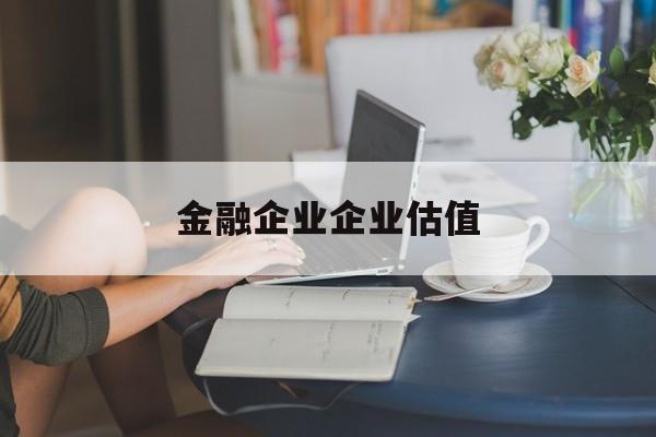 大连市金融企业企业估值(最新企业估值怎么填)